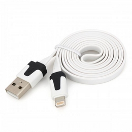 USB to 8-Pin Lightning Flat Charging Cable for iPhone 5 / iPad Mini / iPad 4 - White (103cm)