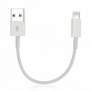 8-Pin Lightning Male to USB Male Charging & Data Cable for iPhone 5 / iPad Mini - Blue (10cm)