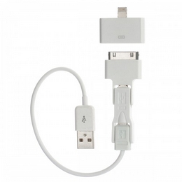 USB to Micro USB / Mini USB / Apple 30pin / 8pin Lightning Adapter Cable - White