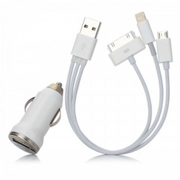 Car Charger + USB to 8-Pin Lightning + 30-Pin/P1000 + Micro USB Cable for iPhone 5/Samsung - White