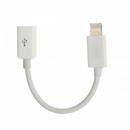 Mini USB Female to Lightning 8-Pin Cable for iPhone 5 / iPad Mini - White (11.4cm)