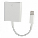 Lightning 8-Pin Male to SD Card Reader for iPad 4 / iPad Mini - White (Max. 32GB)
